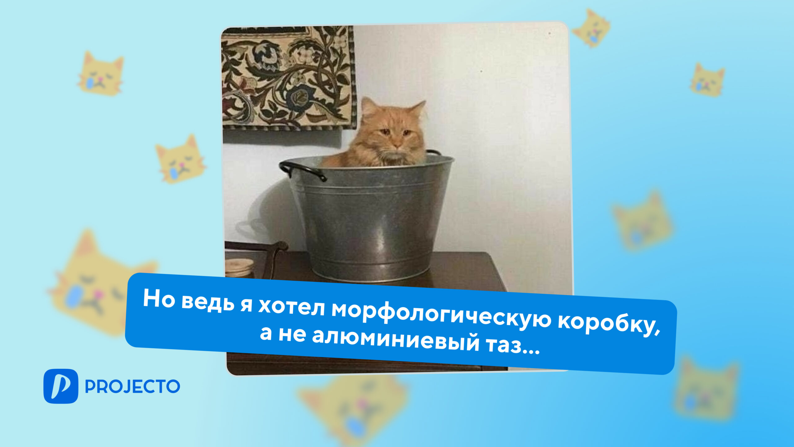 Морфологический ящик