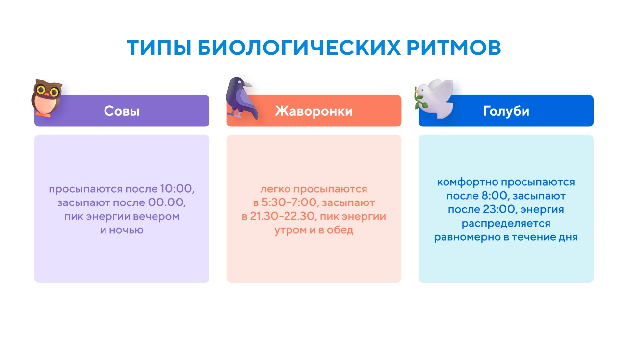Биологические ритмы