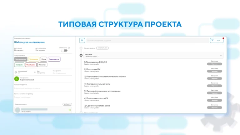 Структура проекта