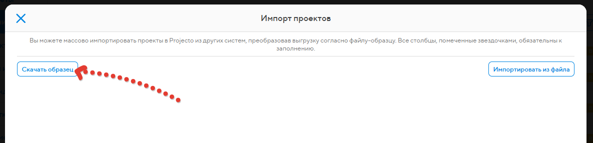 Скачайте образец того, как должны выглядеть данные по проектам
